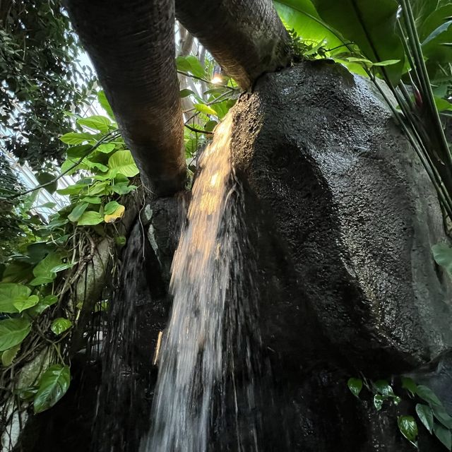 Nature in the park to fascinate yourself