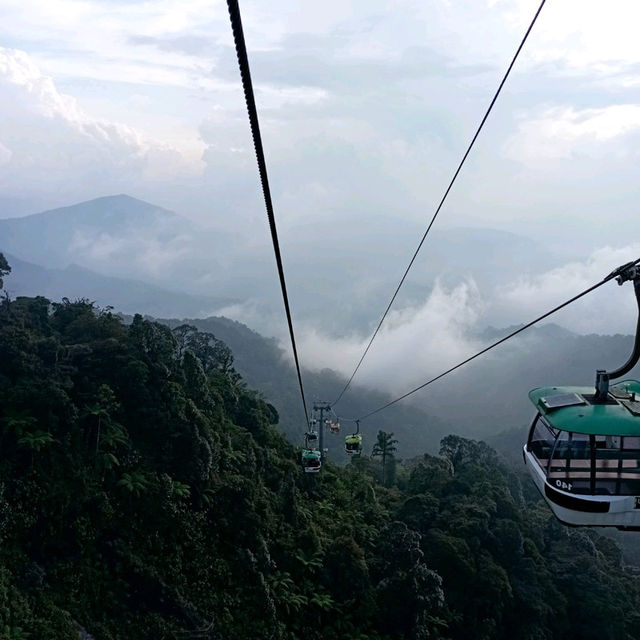 Viewing Natural Forest When Taking Skyway