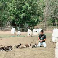 Scenic Rabbit/Chicken Farm @ Ratchaburi