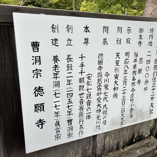 静岡市を一望する徳願寺