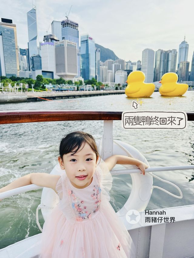 黃昏鴨仔遊