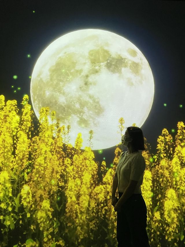 제주 실내관광지 아르떼뮤지엄✨