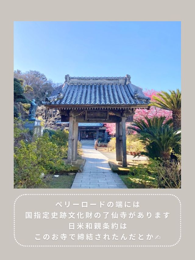 【下田】わんこと行けるインスタ映えスポット🫧