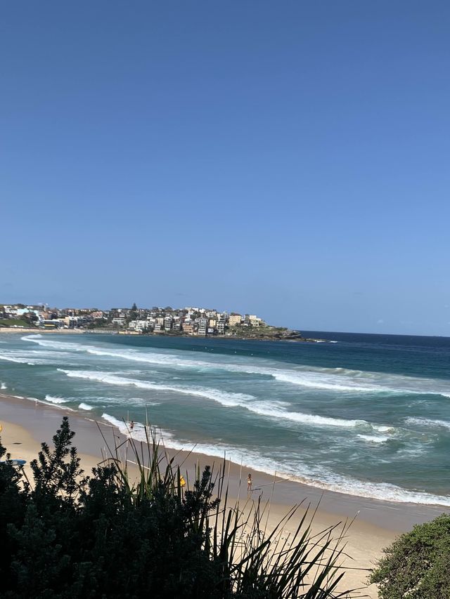 Bondi Beach