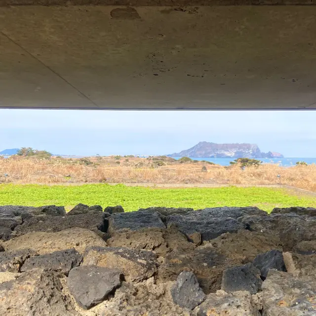 돌담을 이용한 건물 자체가 작품 💘 제주 유민미술관