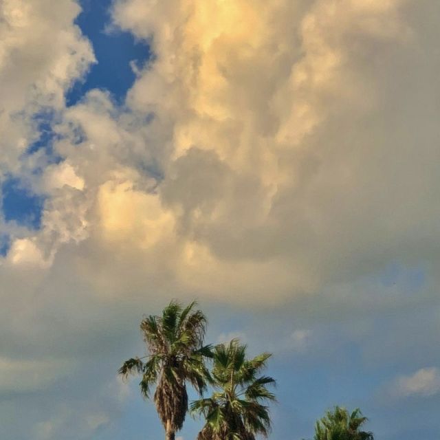 🏝️서귀포의 일랑일랑, 몽글한 범섬 감성