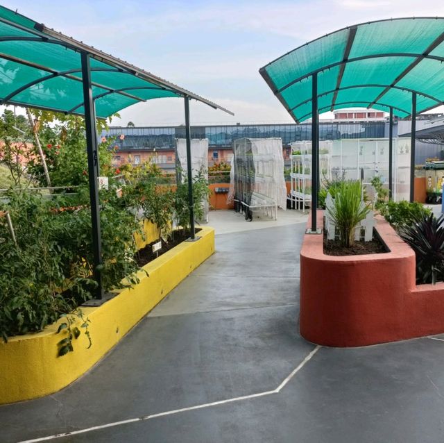 Rooftop Community Garden 