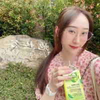 在台北帶上泳衣說去就去浸溫泉之小旅程