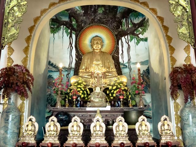 1 วัน ในดานัง (ไฟล์ทบินรอบเช้า ลงดานัง)