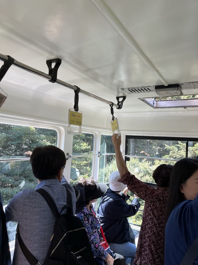공기와 단풍이 기가막힌 내장산케이블카