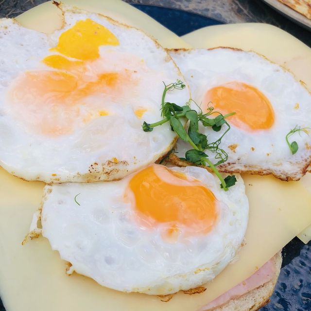 荷蘭🇳🇱鹿特丹 Rotterdam 曬曬太陽吃午餐🍳🥞🧀Raoul