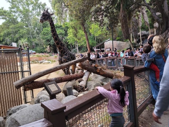 Los Angeles Zoo 🐘✨