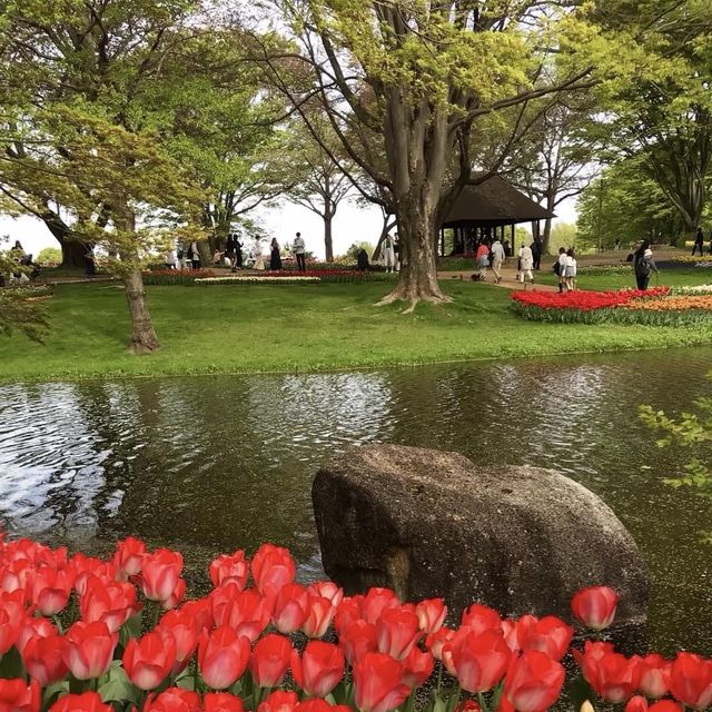 Showa Memorial Park 