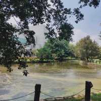 優美的市區隱身秘境-阿里山林業村