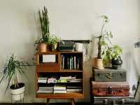 The Brownstone Hostel