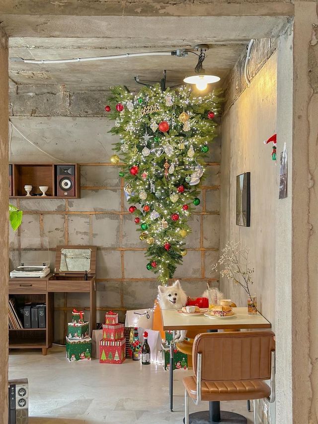 거꾸로 트리와 귀염둥이 만두가 반겨주는 청주 카페🎄♥️
