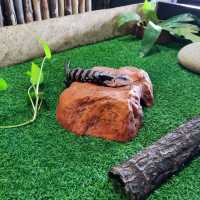 Bukit Merah Pavilion Mini Petting Zoo