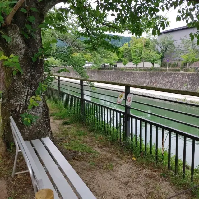 疲れたら鴨川を眺めて休憩　デートにもおすすめ京都市動物園