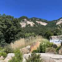 불암산뷰 식물원카페, 카페 포레스트⛰️