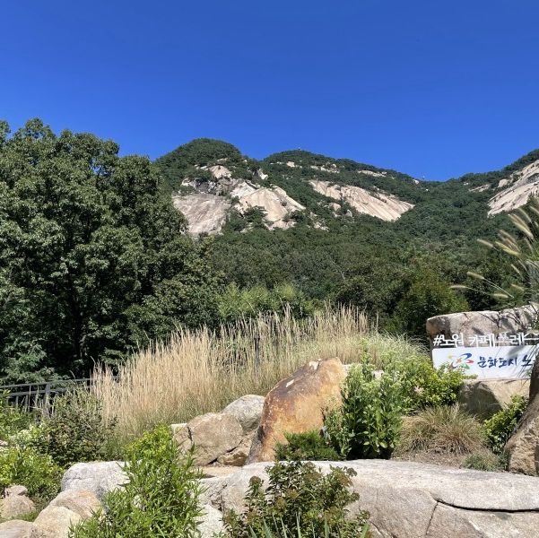 불암산뷰 식물원카페, 카페 포레스트⛰️