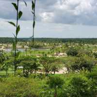 Forest city golf resort 