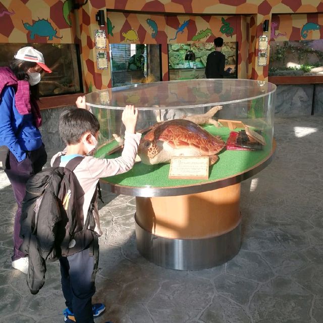 爬蟲館🐢🐍🦎