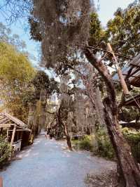 Go on a trip to this NATURA CAFÈ right NOW!