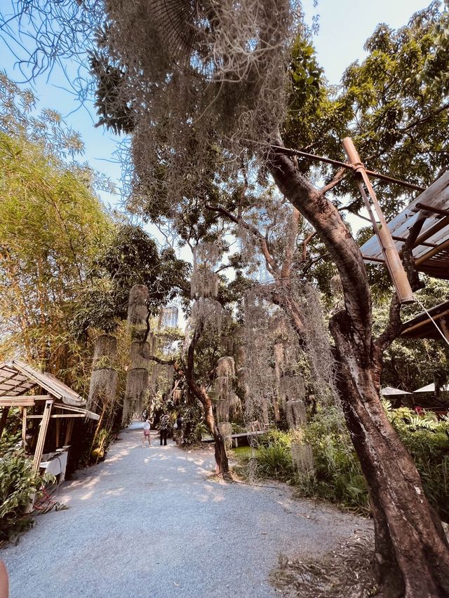 Go on a trip to this NATURA CAFÈ right NOW!