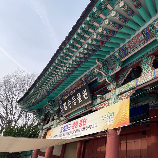 한옥마을만 가는 전주여행은 그만! 색다른 전주여행 전주동물원!!