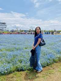 Flowers everywhere 😏