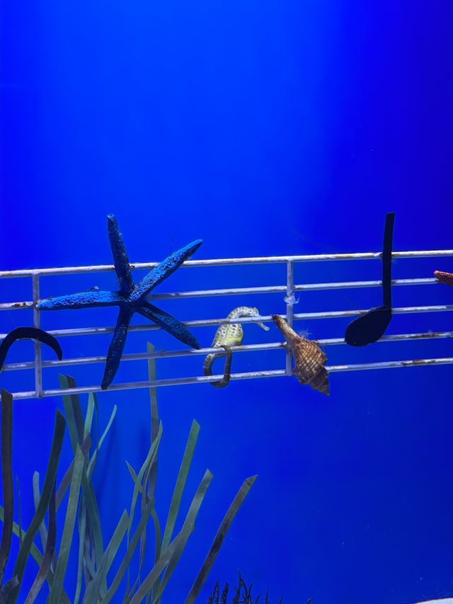 일산 핫플 🐠 아쿠아플라넷에서 주말 보내기