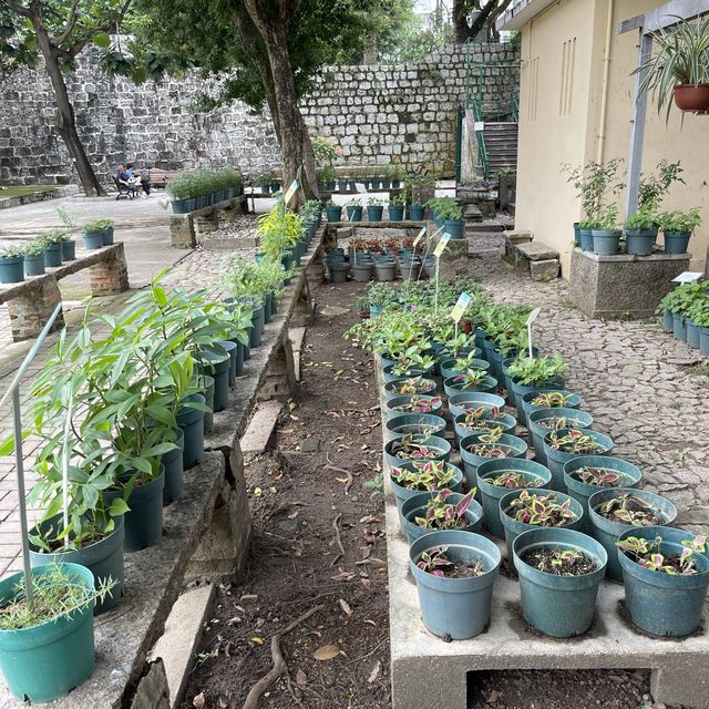 Luís de Camões Plant Nursery