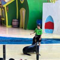 珠海長隆海洋王國之海洋動物