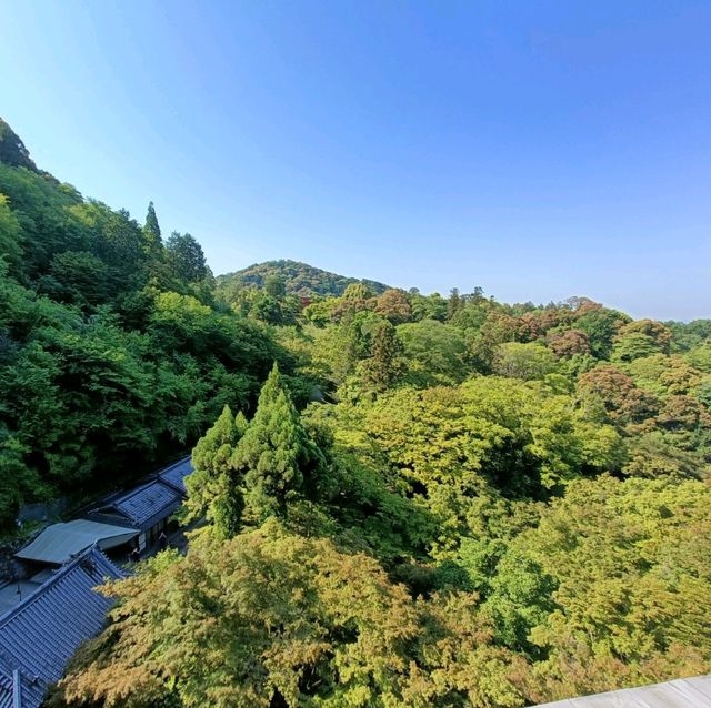 Iconic Kiyomizu-dera Temple in Kyoto 