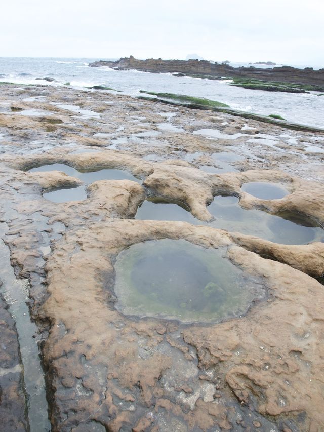 野柳地質公園與女王頭打卡