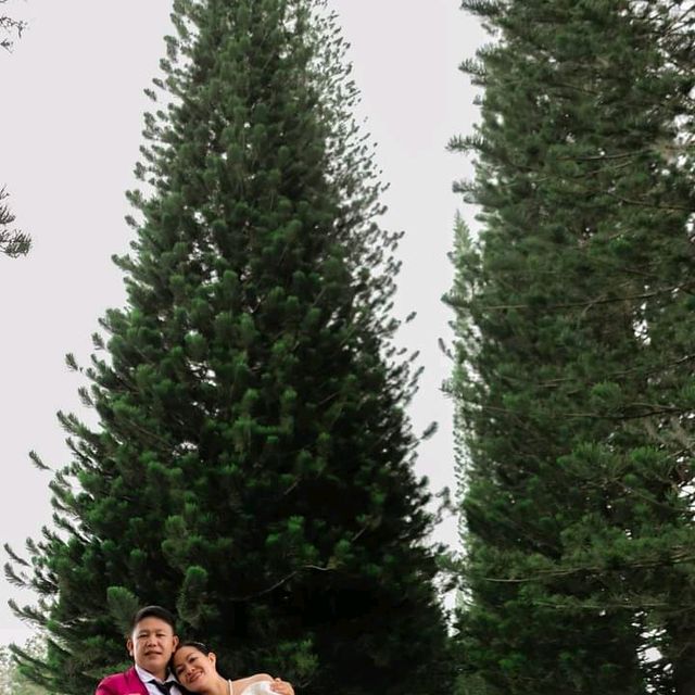 my sister wedding