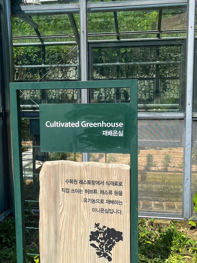 강원도 식재료를 사용하여 만든 비건 브런치 카페 : 살롱제이드  