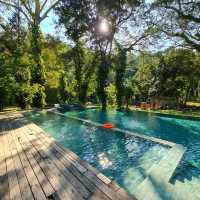 รีวิว โรงแรม Flora Creek เชียงใหม่