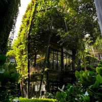 CAFE WITH BOTANICAL THEMED DÉCOR.