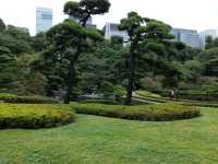The East Garden of Imperial Palace of Tokyo