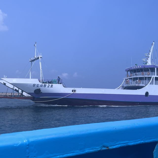 제주도 우도 배타고 차타고 들어가기 🚢