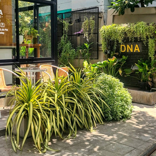 DNA COFFEE