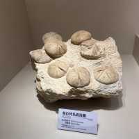 【臺中北區】自然科學館：多展區，立體電影，適合全家一日遊【8/10】