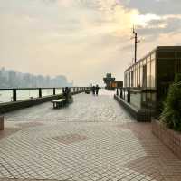 Hidden Observation Deck