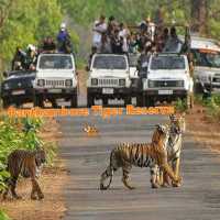 Must visit tiger reserve in India 