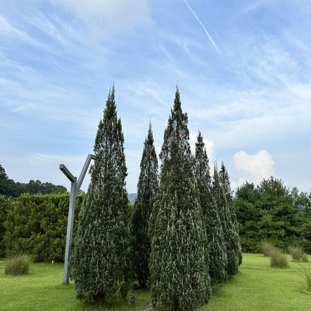 이천의 보물 푸른 에덴파라다이스🌲