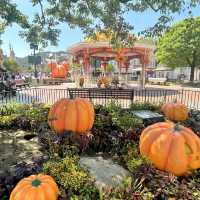 🎃迪士尼樂園南瓜處處迎接萬聖節🎃