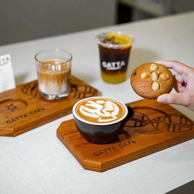 GATTA CAfe 