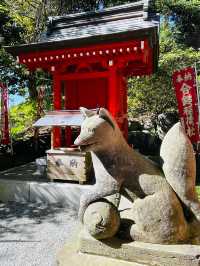 【神奈川県/葛原岡神社】赤い糸を結んで良縁を！