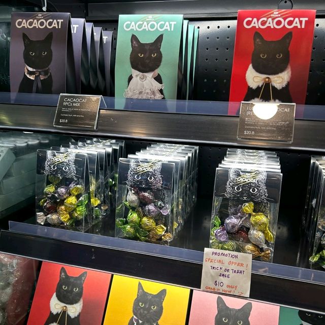 Cute Cacaocat Bugis Junction